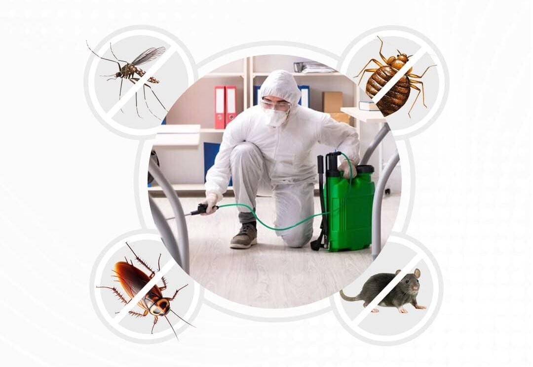 شركة مكافحة حشرات بالرياض,مكافحة حشرات بالرياض,شركه مكافحه حشرات بالرياض,شركات مكافحة الحشرات بالرياض,مكافحه حشرات بالرياض,شركة مكافحة حشرات الرياض,أفضل شركة مكافحة حشرات بالرياض,مكافحة حشرات الرياض,أرخص شركة مكافحة حشرات بالرياض,أفضل شركات مكافحة الحشرات بالرياض,شركات مكافحة الحشرات في الرياض,شركة مكافحة الحشرات الرياض,اسعار شركات مكافحة الحشرات بالرياض,افضل شركات مكافحة الحشرات بالرياض,مكافحة الحشرات في الرياض,افضل شركه مكافحه حشرات بالرياض